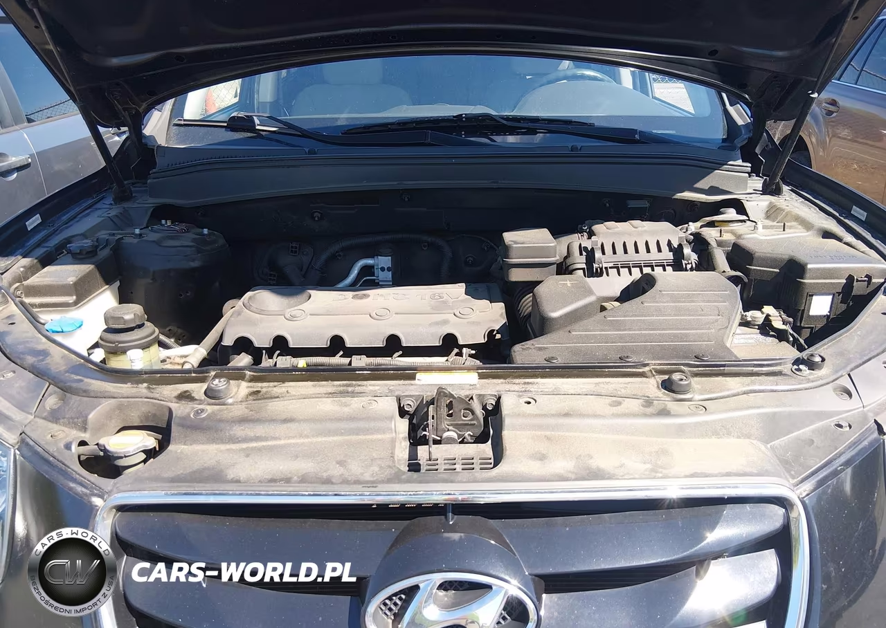 2010 Hyundai Santa Fe Gls VIN:5NMSG3AB5AH389614 - 10