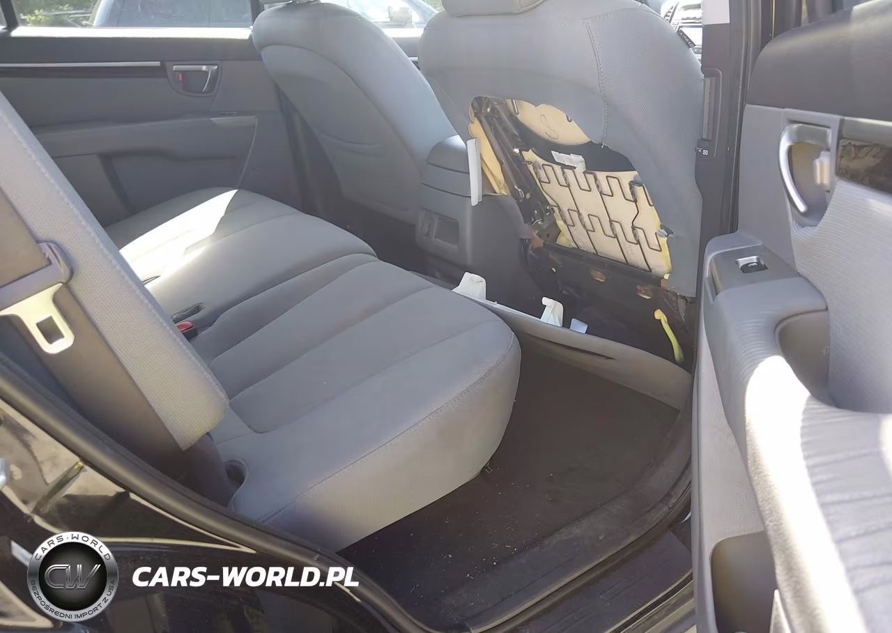 2010 Hyundai Santa Fe Gls VIN:5NMSG3AB5AH389614 - 8