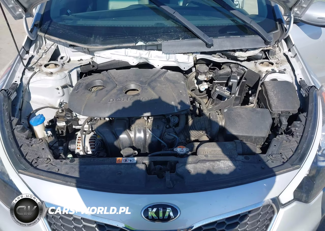 2016 Kia Forte Lx VIN:KNAFX4A61G5498946 - 10
