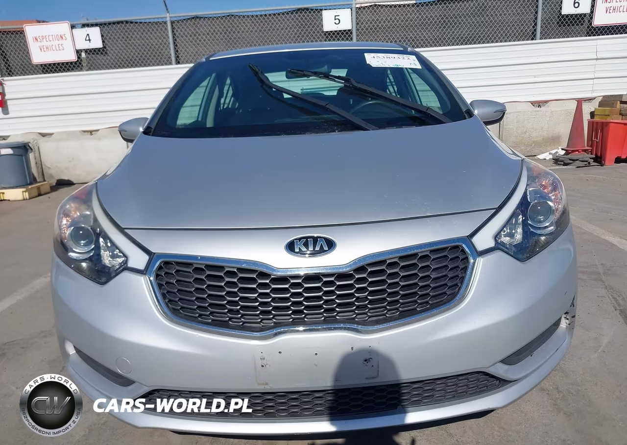 2016 Kia Forte Lx VIN:KNAFX4A61G5498946 - 11