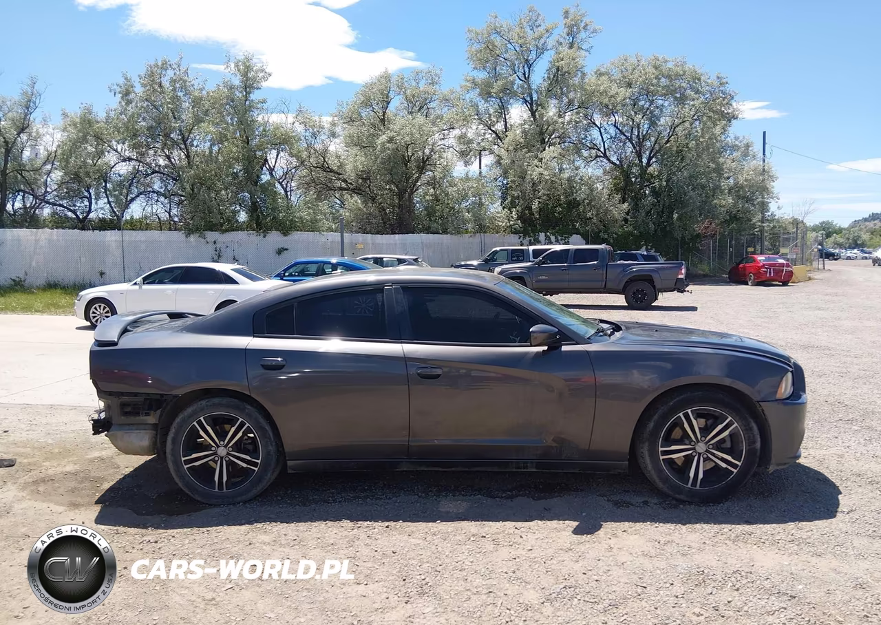2013 Dodge Charger Sxt VIN:2C3CDXJG8DH608151 - 13