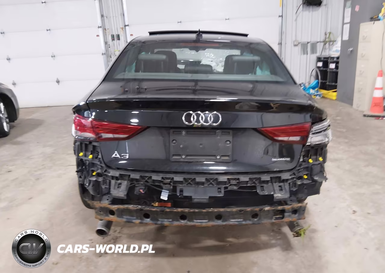 2019 Audi A3 45 Premium VIN:WAUBEGFF1KA088128 - 16