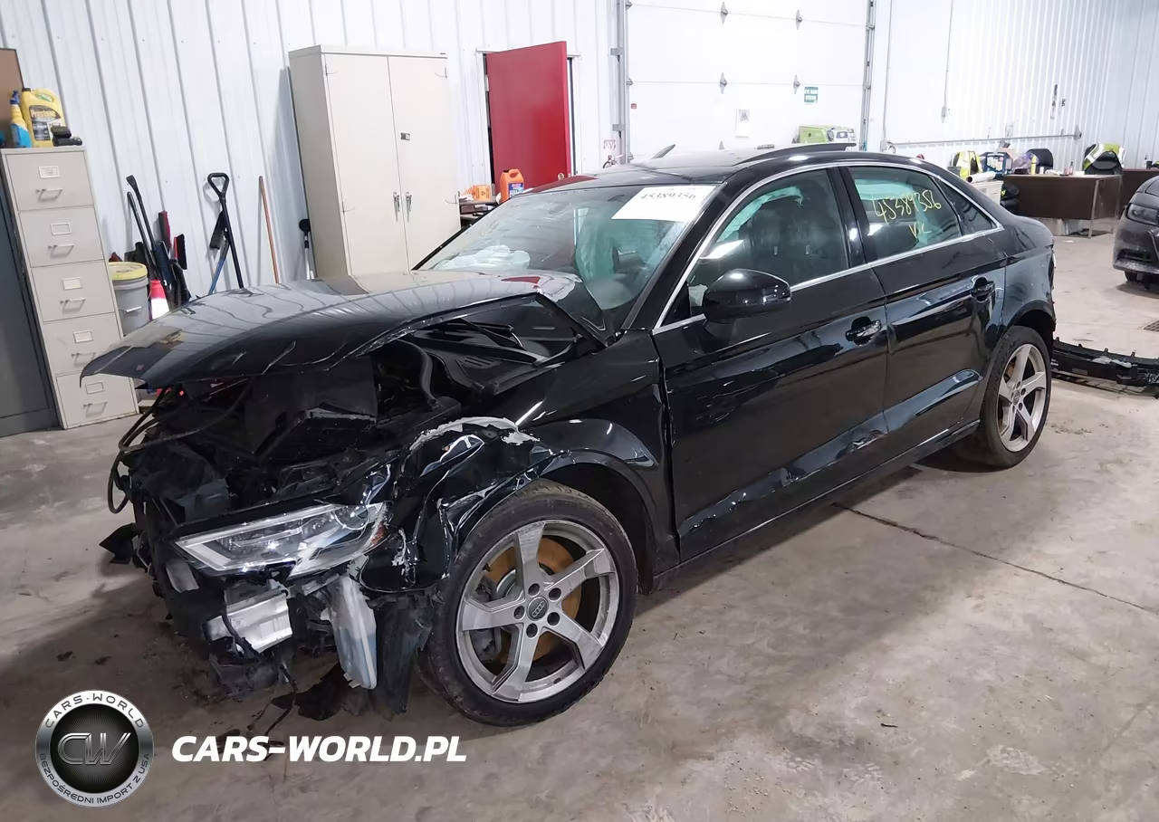 2019 Audi A3 45 Premium VIN:WAUBEGFF1KA088128 - 2