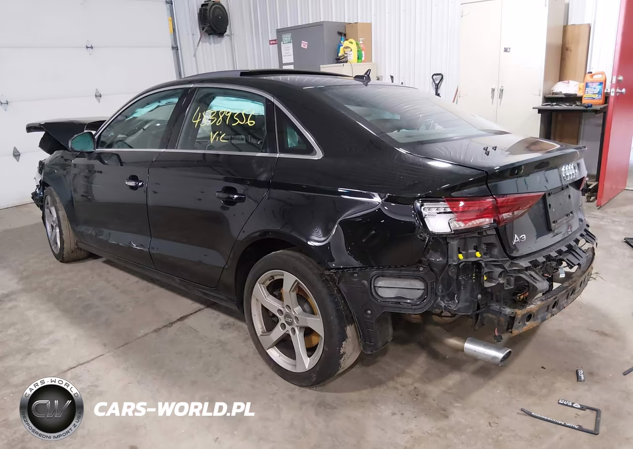 2019 Audi A3 45 Premium VIN:WAUBEGFF1KA088128 - 3