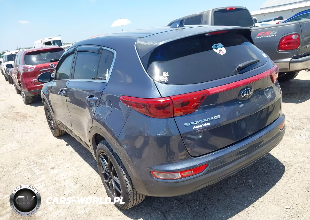2019 Kia Sportage Lx VIN:KNDPM3AC5K7515941 - 3