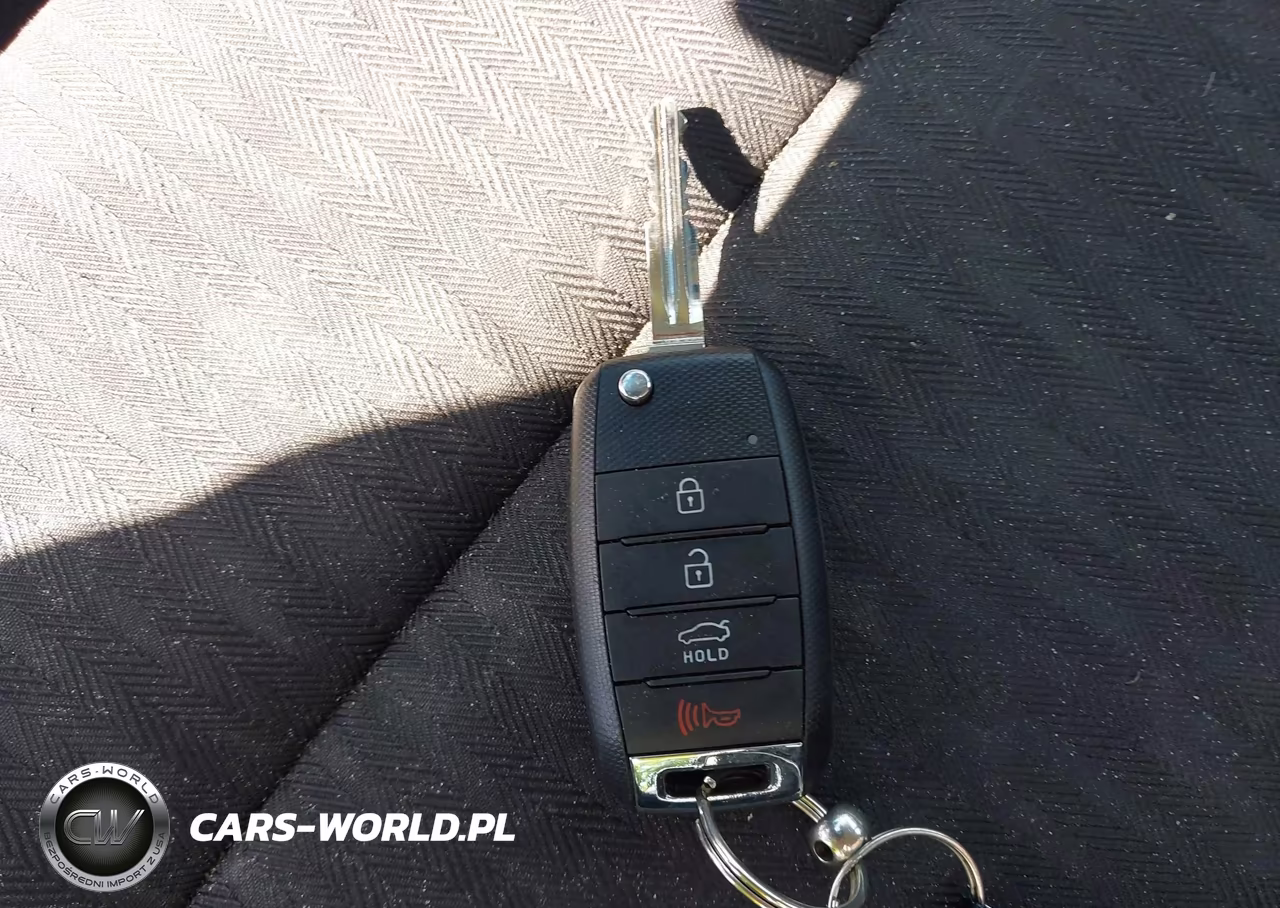 2016 Kia Forte Lx VIN:KNAFK4A6XG5620072 - 11