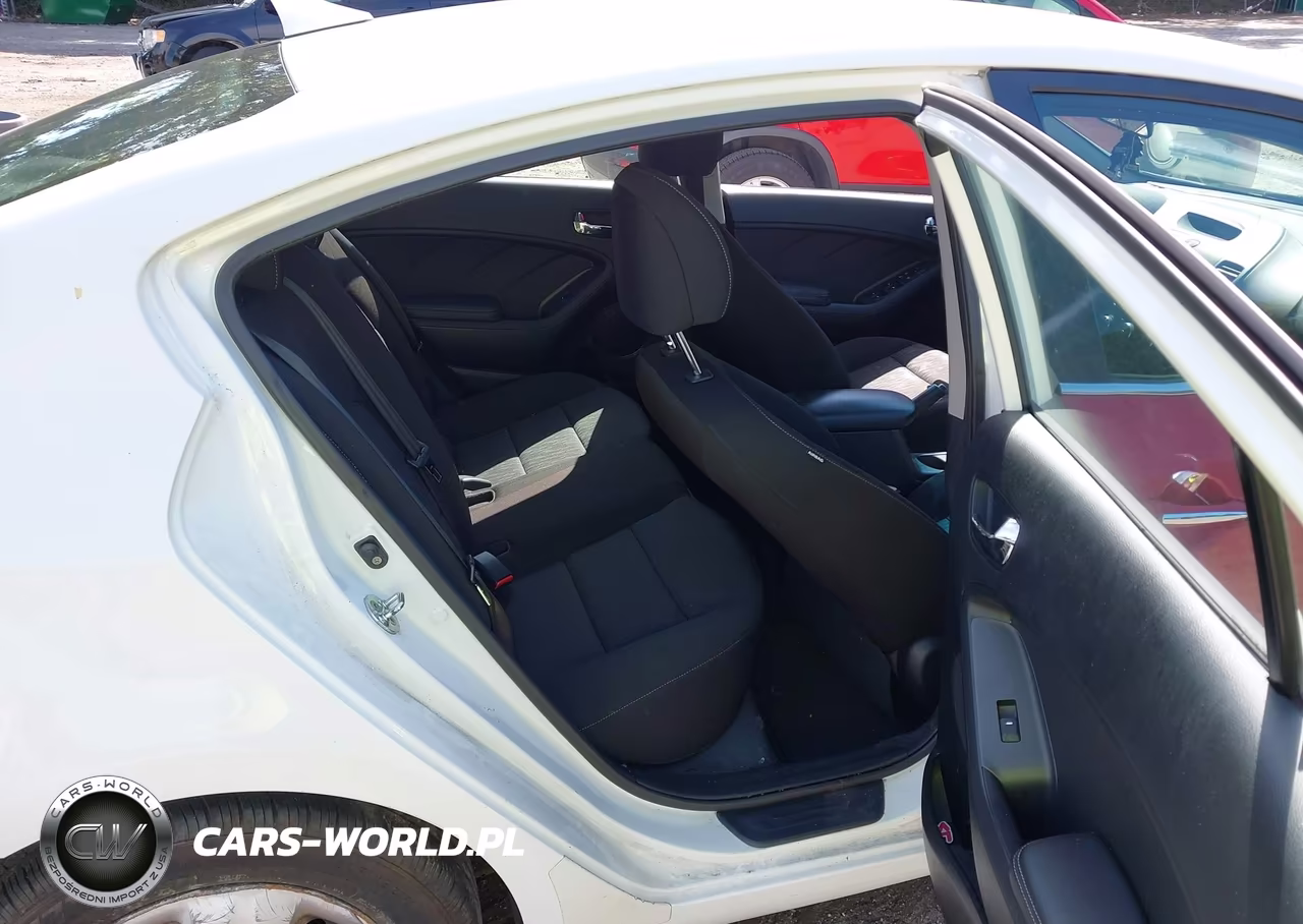 2016 Kia Forte Lx VIN:KNAFK4A6XG5620072 - 8