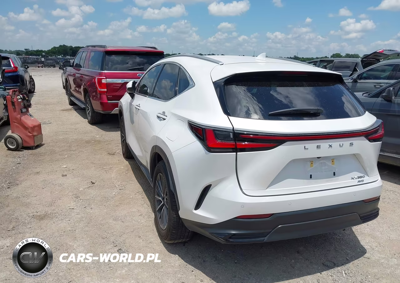 2024 Lexus Nx 350 Premium VIN:2T2GGCEZ5RC057151 - 3