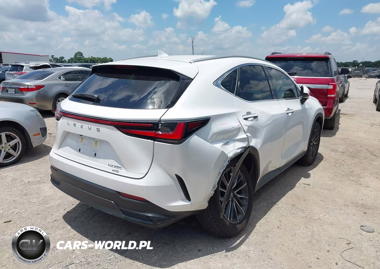 2024 Lexus Nx 350 Premium VIN:2T2GGCEZ5RC057151 - 4