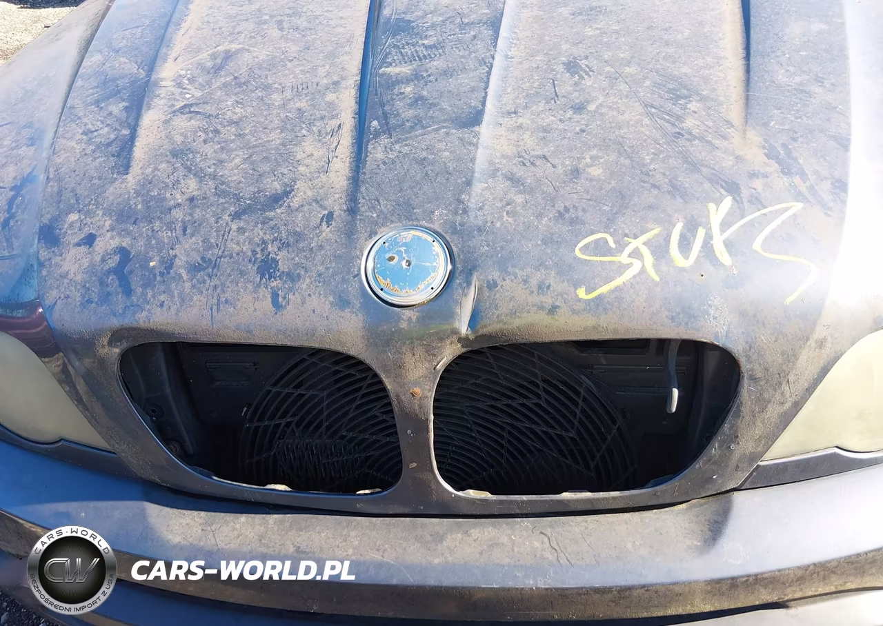 2003 BMW X5 4.4I VIN:5UXFB335X3LH48899 - 10