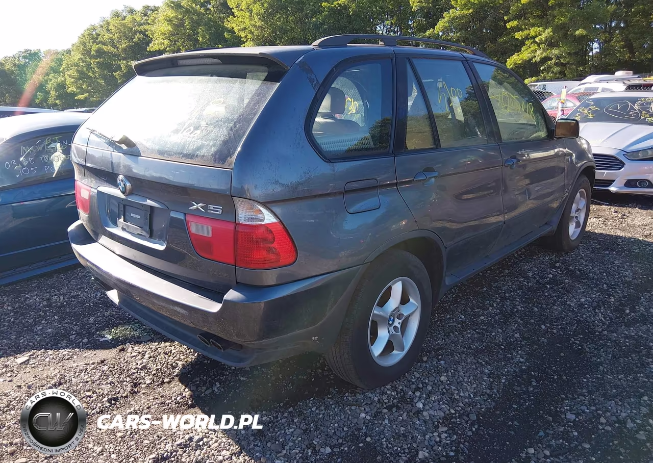 2003 BMW X5 4.4I VIN:5UXFB335X3LH48899 - 4