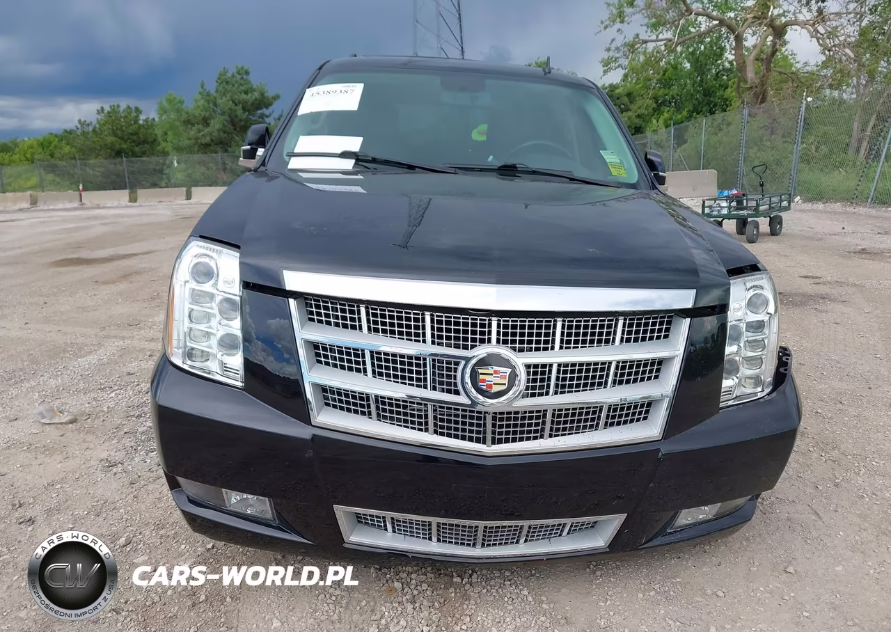 2014 Cadillac Escalade Platinum VIN:1GYS4DEF0ER131475 - 12