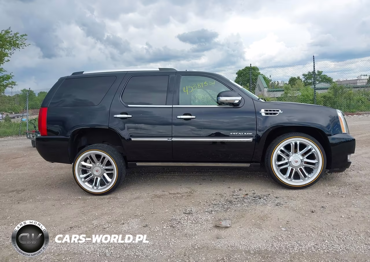 2014 Cadillac Escalade Platinum VIN:1GYS4DEF0ER131475 - 13