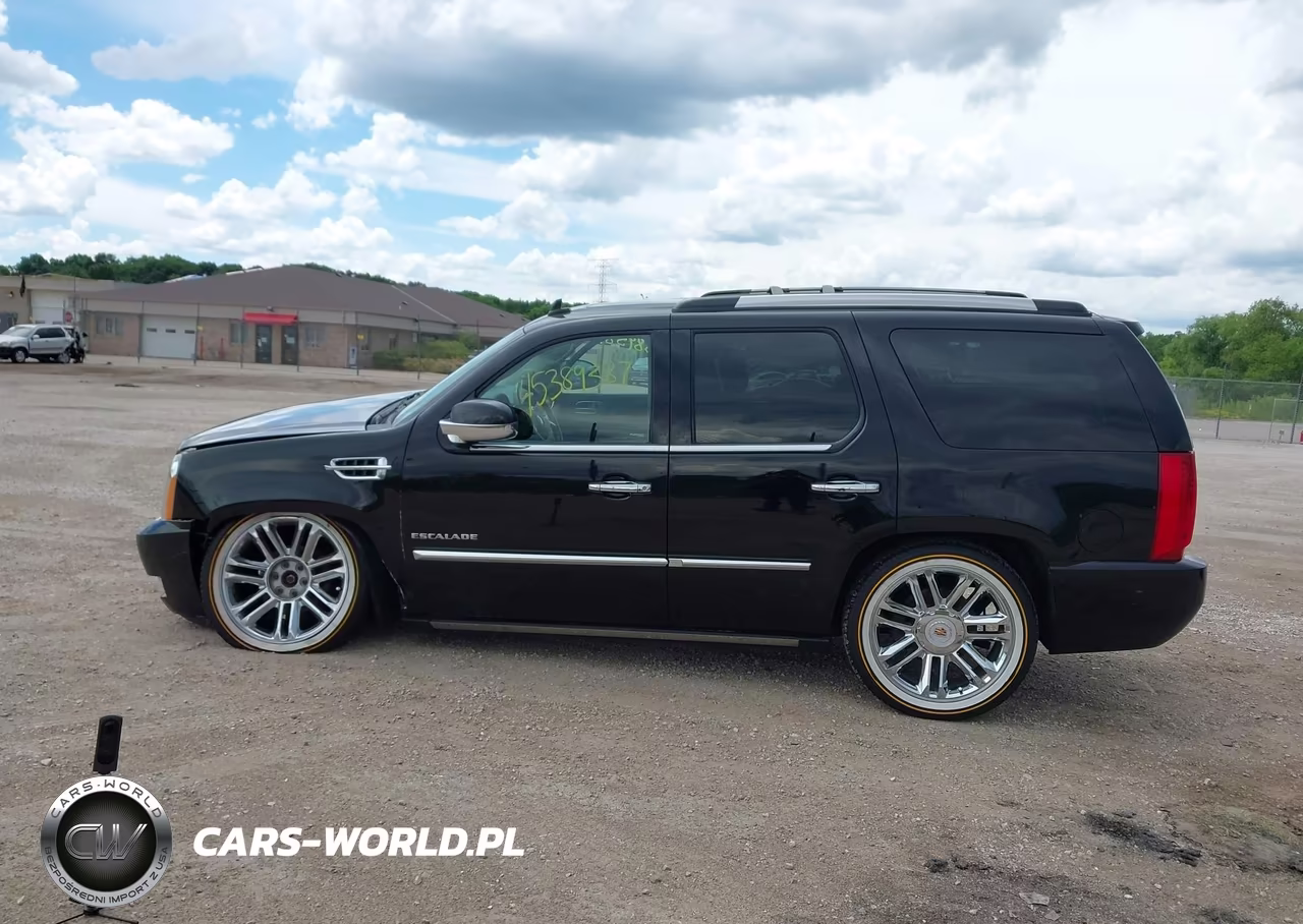 2014 Cadillac Escalade Platinum VIN:1GYS4DEF0ER131475 - 14
