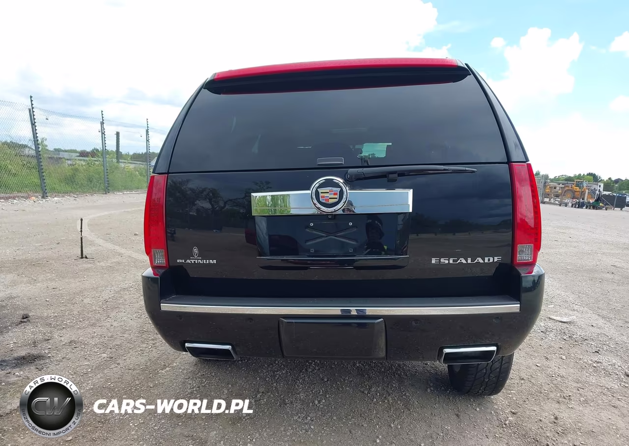 2014 Cadillac Escalade Platinum VIN:1GYS4DEF0ER131475 - 16