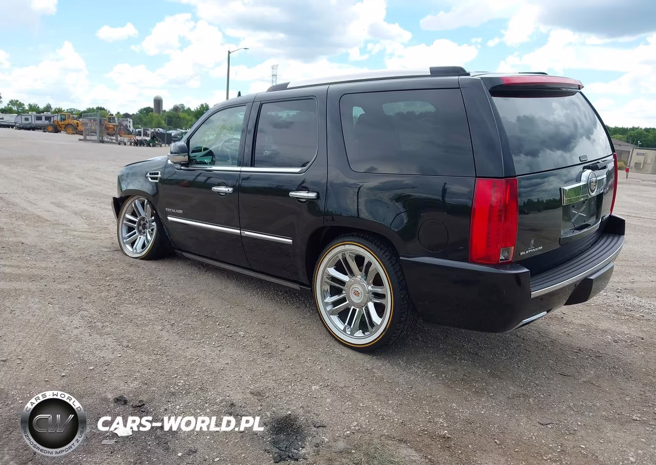 2014 Cadillac Escalade Platinum VIN:1GYS4DEF0ER131475 - 3