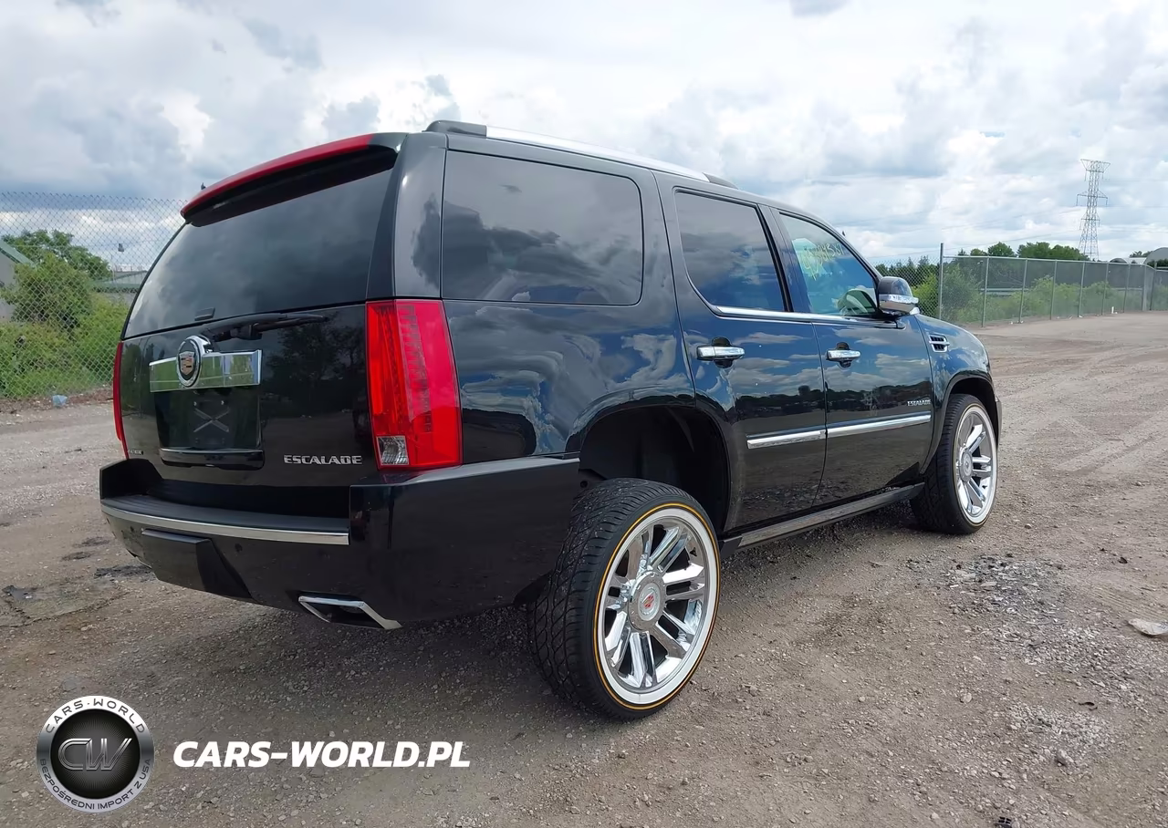 2014 Cadillac Escalade Platinum VIN:1GYS4DEF0ER131475 - 4