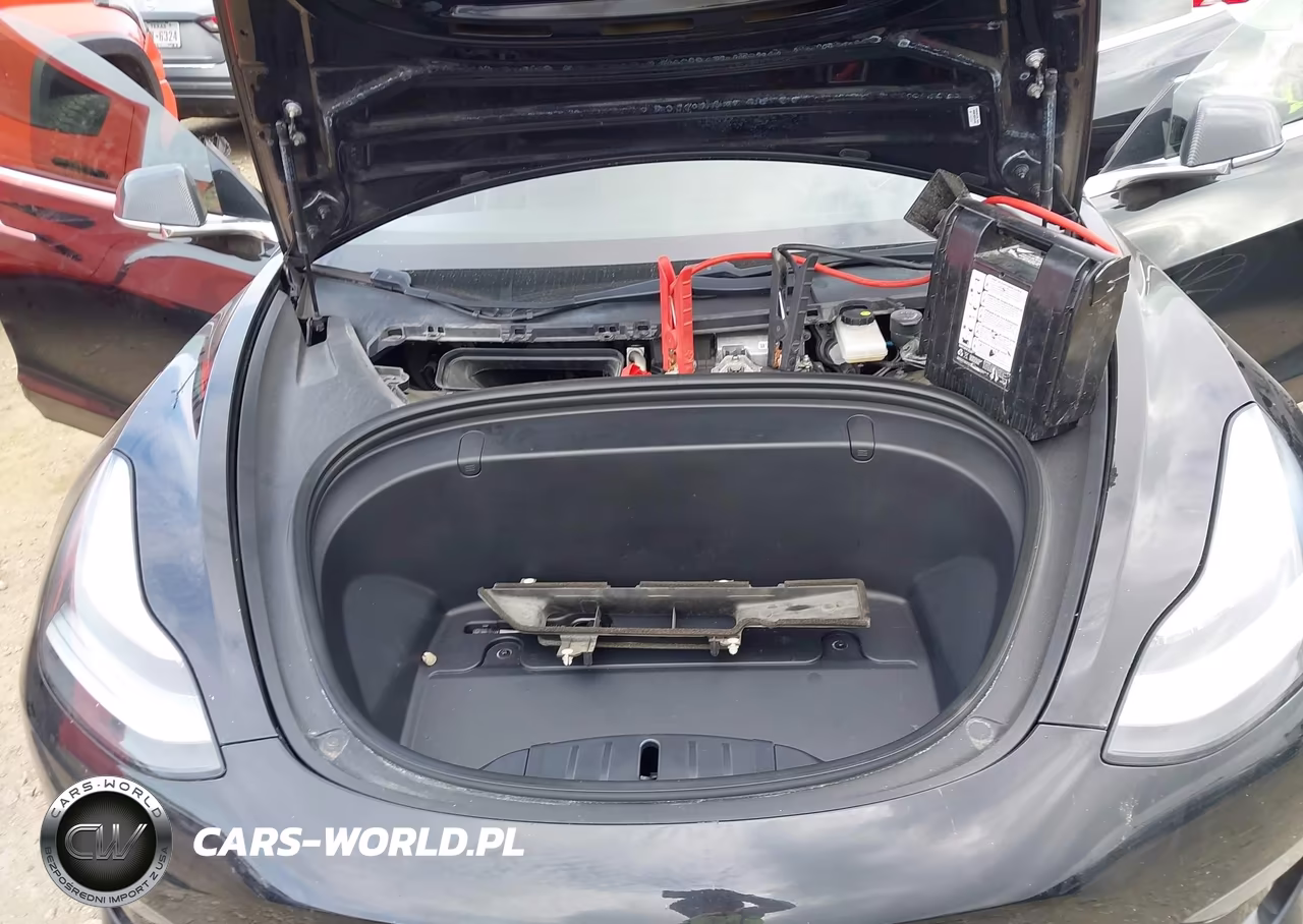 2019 Tesla Model 3 Long Range-Mid Range-Standard Range-Standard Range Plus VIN:5YJ3E1EA6KF310910 - 10