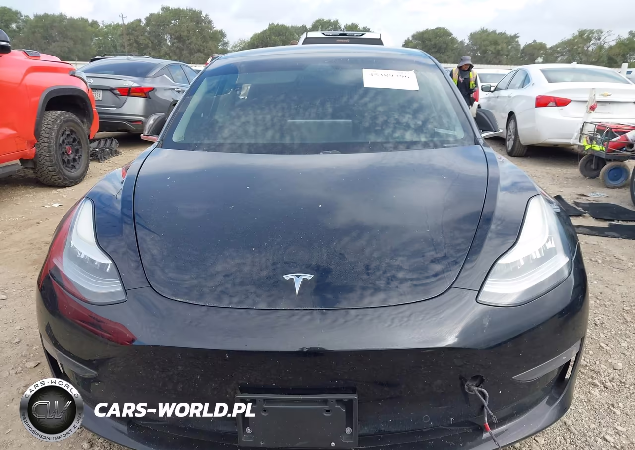 2019 Tesla Model 3 Long Range-Mid Range-Standard Range-Standard Range Plus VIN:5YJ3E1EA6KF310910 - 11