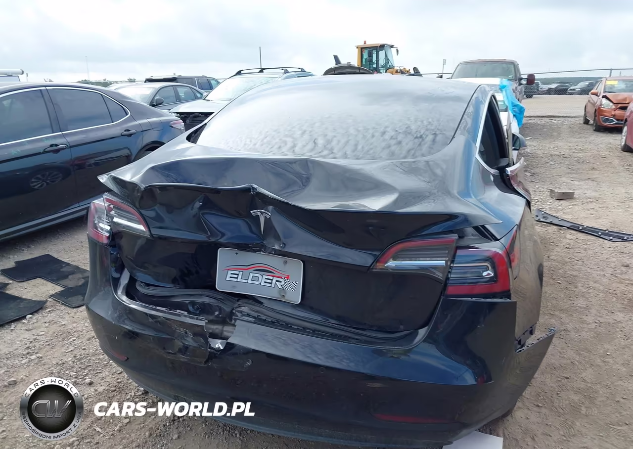 2019 Tesla Model 3 Long Range-Mid Range-Standard Range-Standard Range Plus VIN:5YJ3E1EA6KF310910 - 6