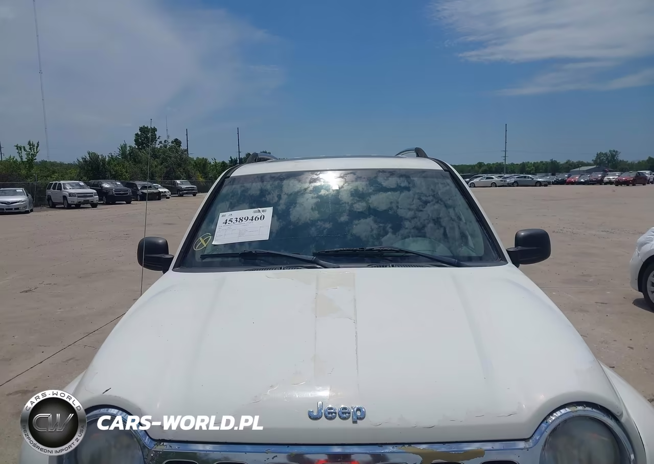 2005 Jeep Liberty Limited Edition VIN:1J4GL58K65W566445 - 13