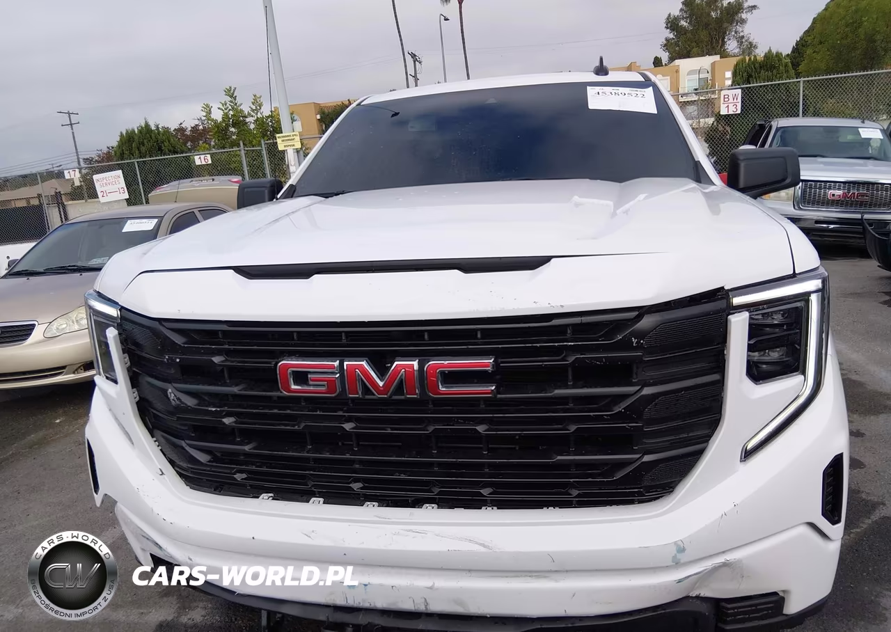 2024 GMC Sierra 1500 2Wd Short Box Pro VIN:1GTPHAEK0RZ225650 - 12