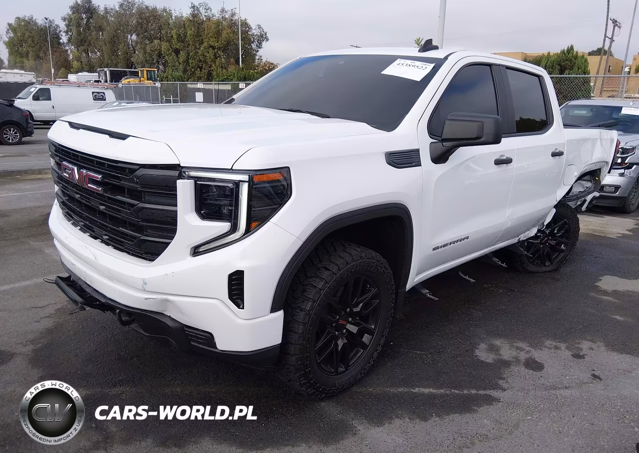 2024 GMC Sierra 1500 2Wd Short Box Pro VIN:1GTPHAEK0RZ225650 - 2