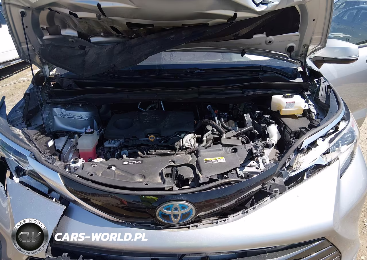2021 Toyota Sienna Platinum VIN:5TDERKEC5MS067657 - 10