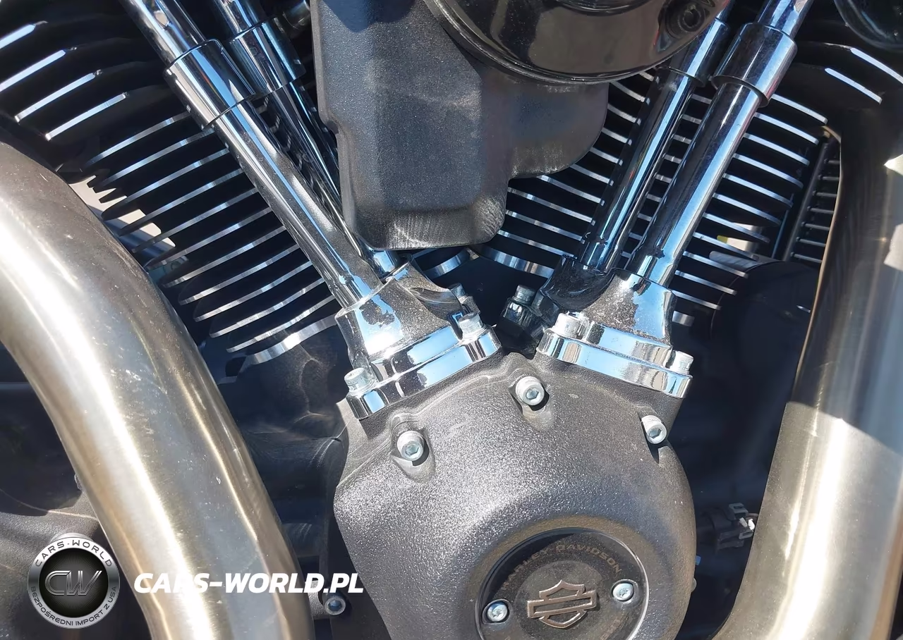 2022 Harley-Davidson Fxrst VIN:1HD1YZZ18NB070420 - 8