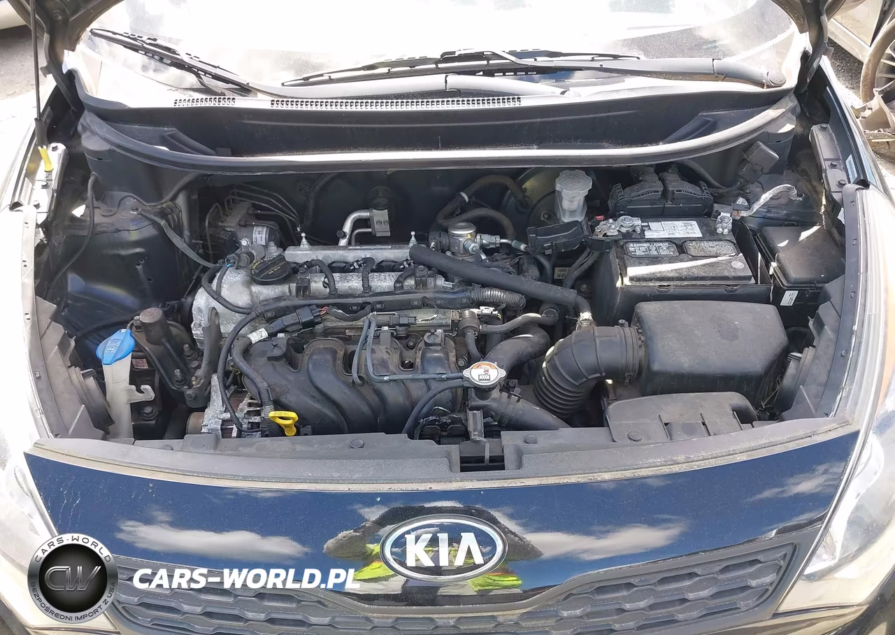 2014 Kia Rio Lx VIN:KNADM5A31E6355417 - 10