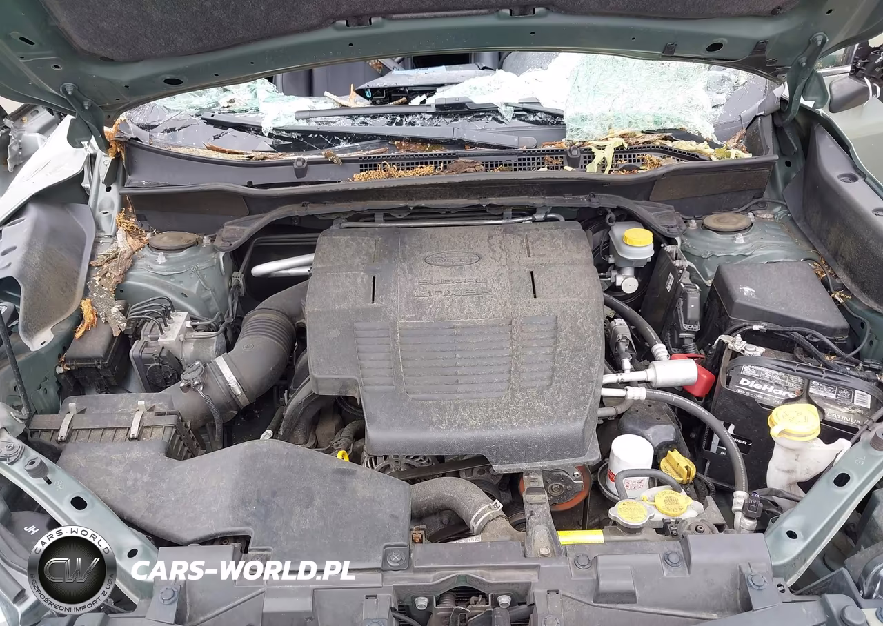 2019 Subaru Forester Touring VIN:JF2SKAWC0KH563100 - 10