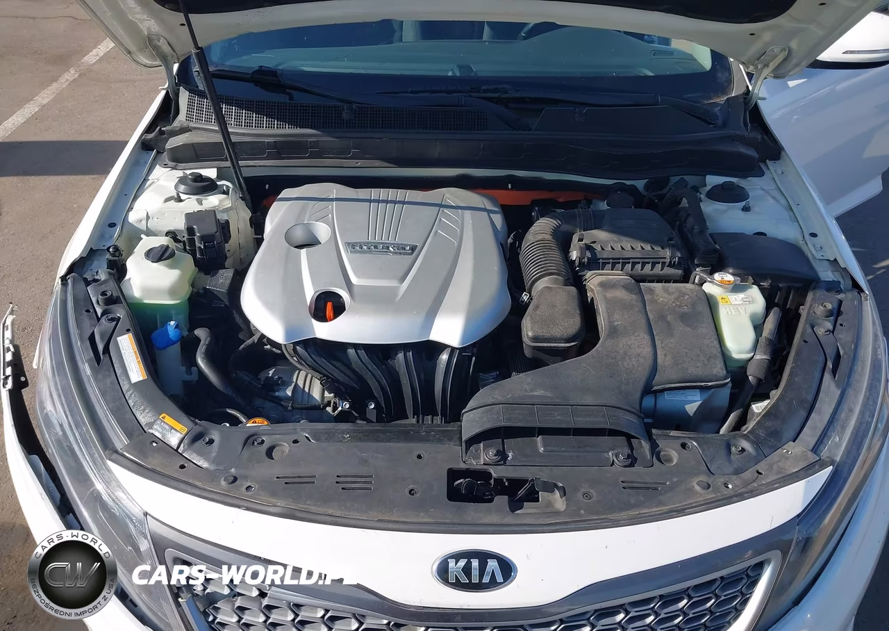 2015 Kia Optima Hybrid VIN:KNAGM4ADXF5078810 - 10