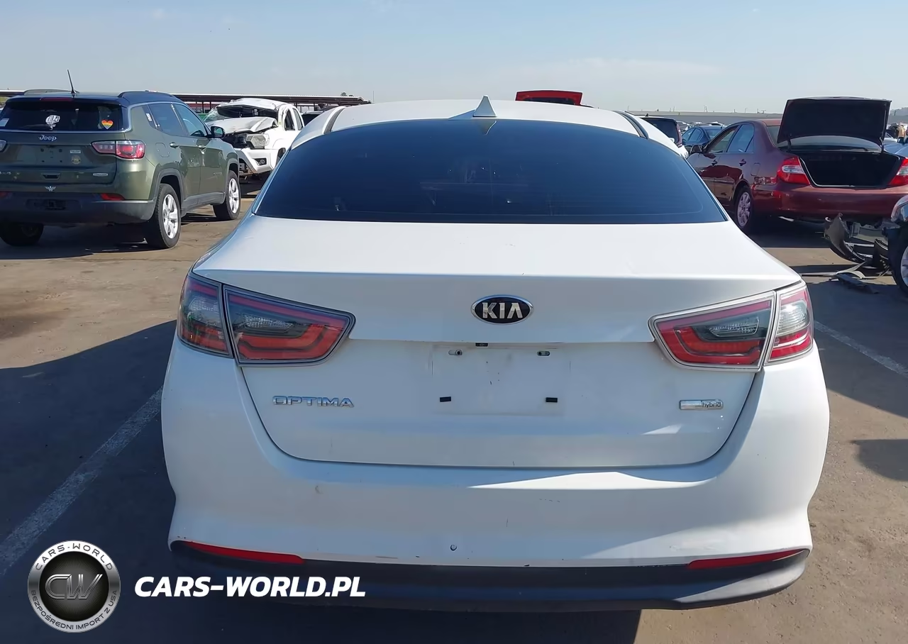 2015 Kia Optima Hybrid VIN:KNAGM4ADXF5078810 - 17