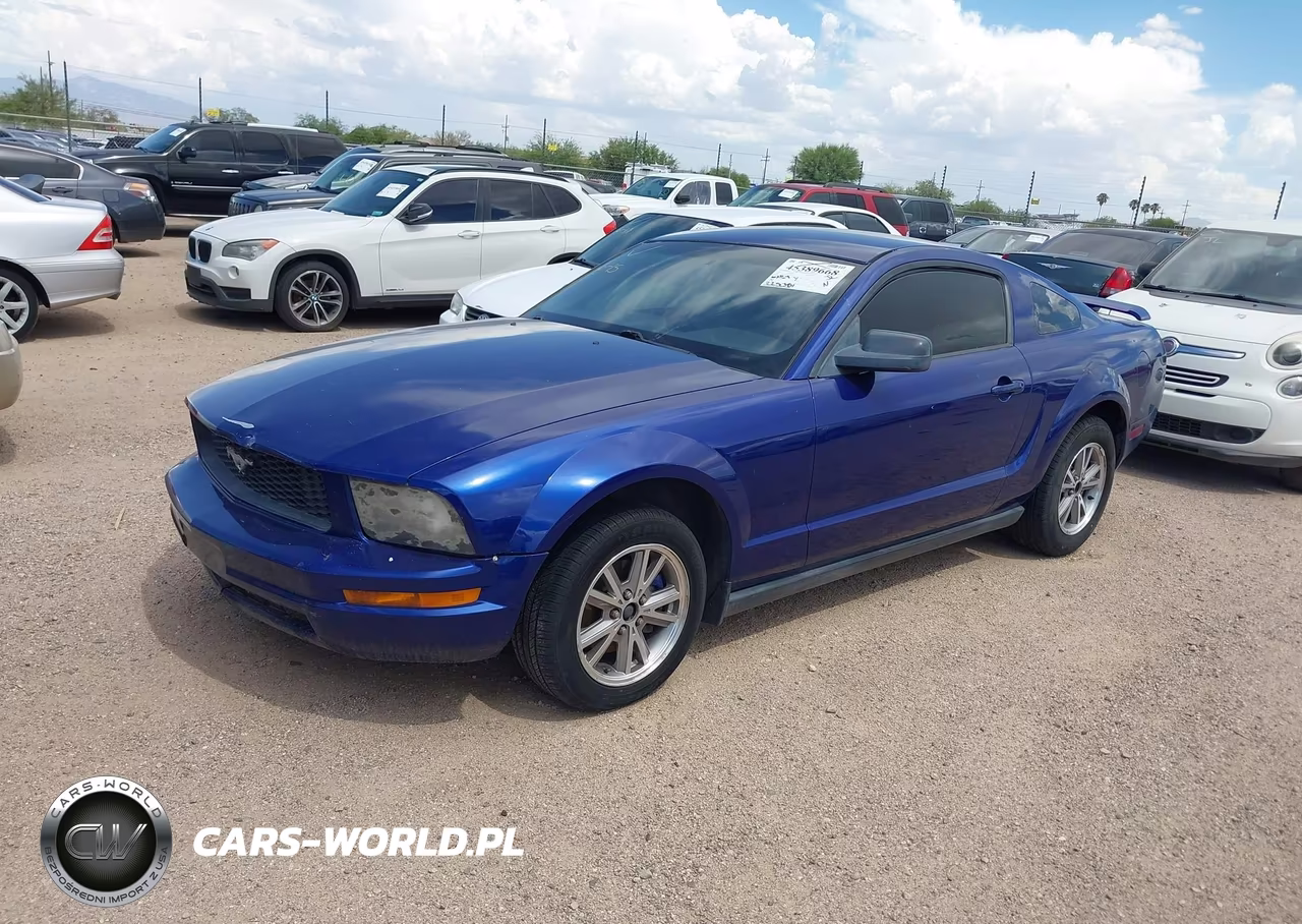 2005 Ford Mustang V6 Deluxe-V6 Premium VIN:1ZVFT80N655161973 - 2
