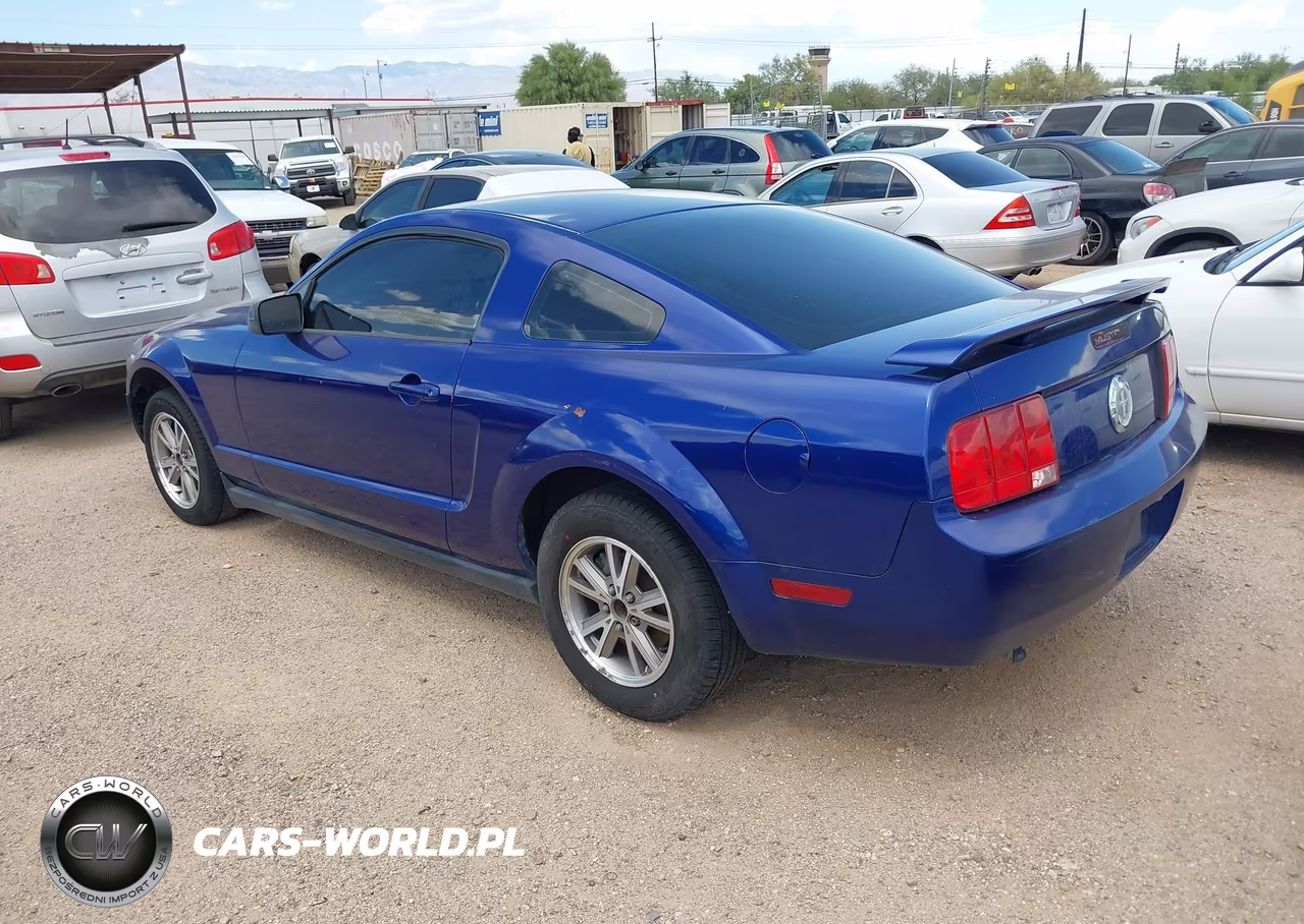 2005 Ford Mustang V6 Deluxe-V6 Premium VIN:1ZVFT80N655161973 - 3