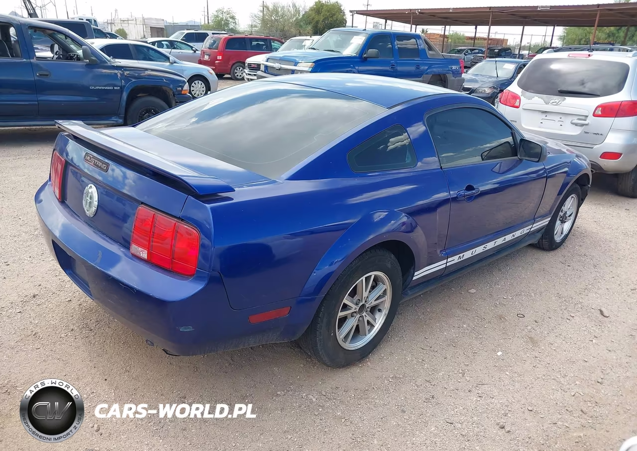 2005 Ford Mustang V6 Deluxe-V6 Premium VIN:1ZVFT80N655161973 - 4