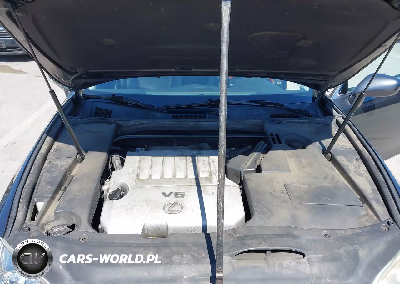 2009 Lexus Es 350 VIN:JTHBJ46G692307710 - 10