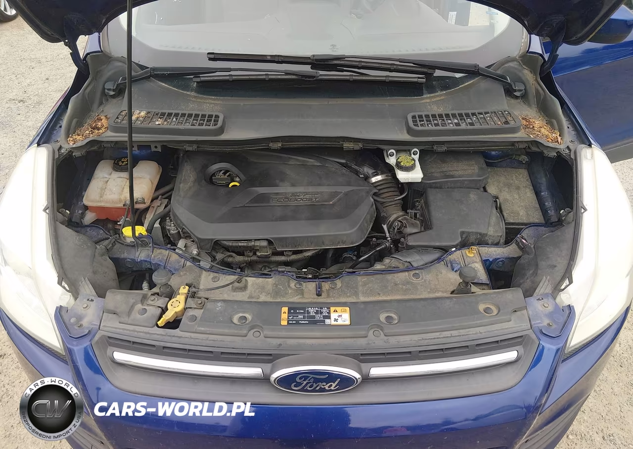 2015 Ford Escape Se VIN:1FMCU9GX8FUA09566 - 10