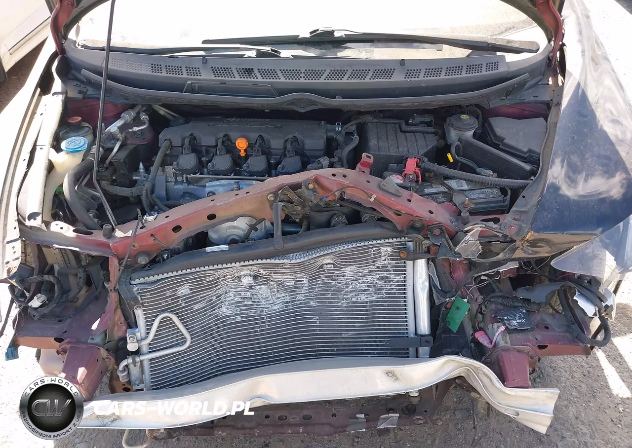 2009 Honda Civic Lx VIN:19XFA16559E045567 - 10