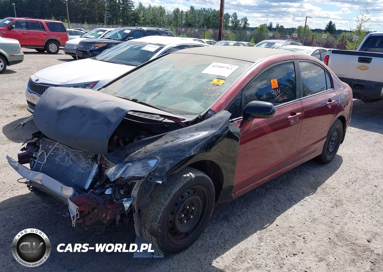 2009 Honda Civic Lx VIN:19XFA16559E045567 - 2