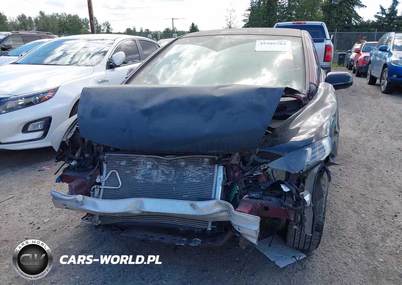2009 Honda Civic Lx VIN:19XFA16559E045567 - 6