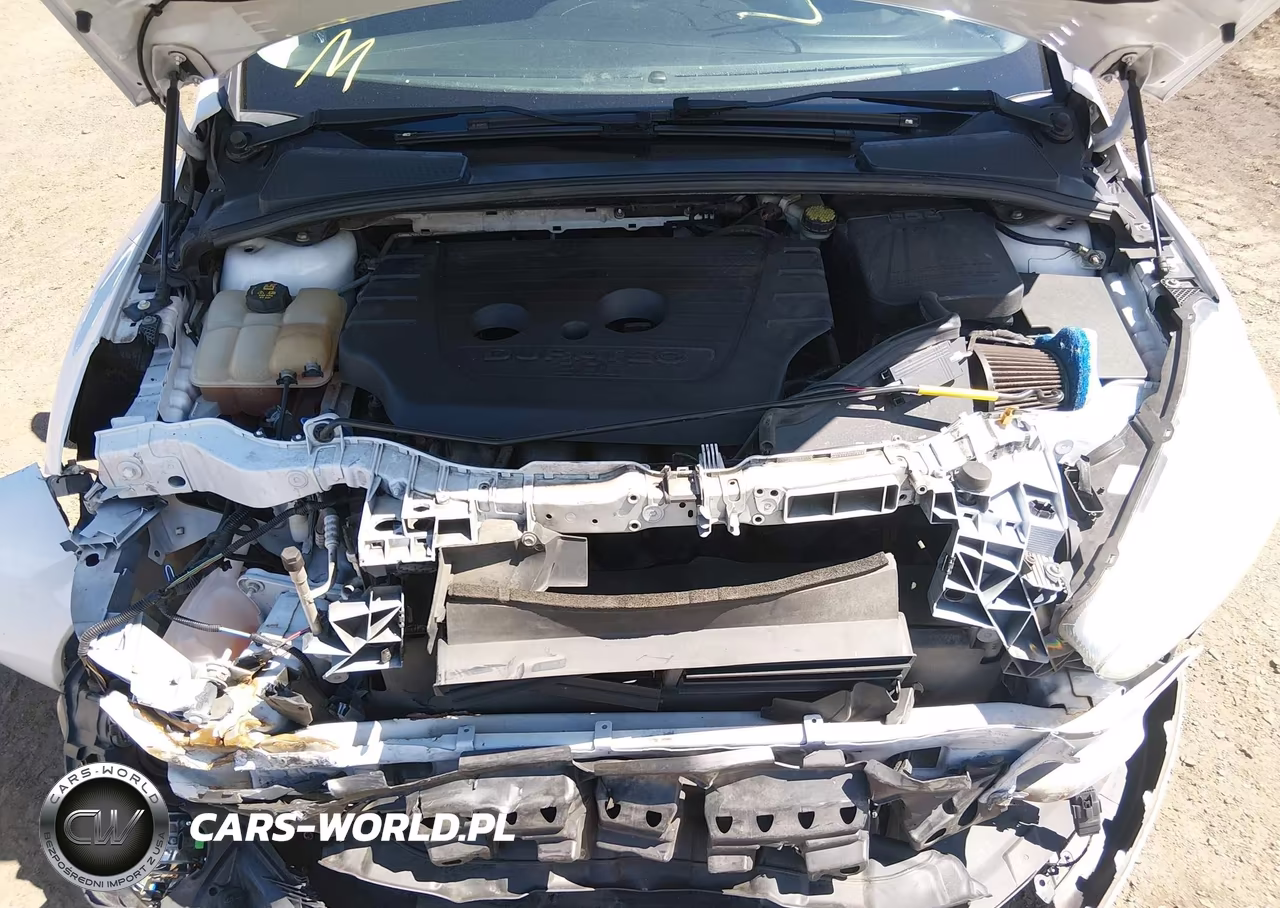 2015 Ford Focus Se VIN:1FADP3K20FL228574 - 10