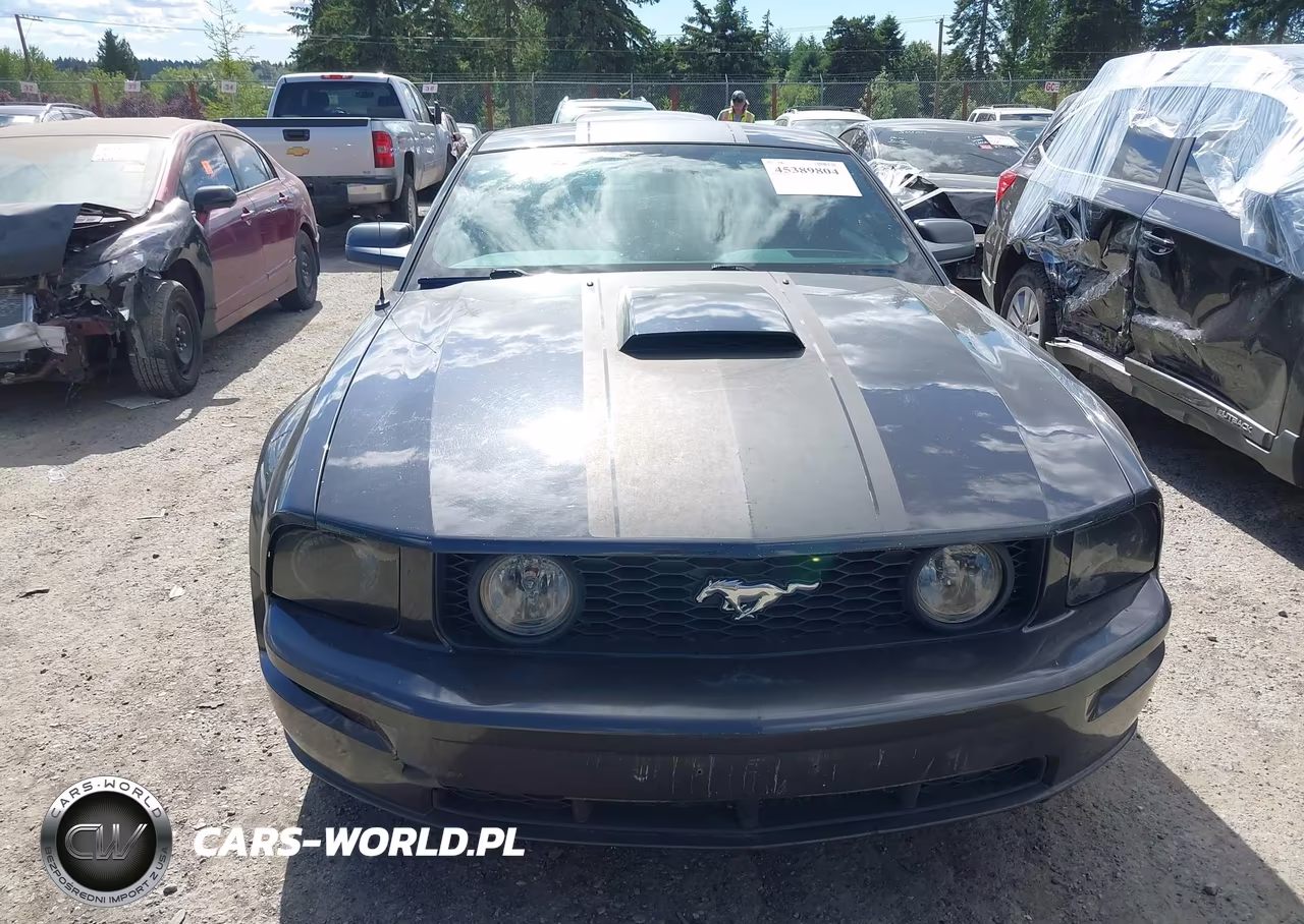 2007 Ford Mustang Gt Deluxe-Gt Premium VIN:1ZVHT82H775238174 - 12