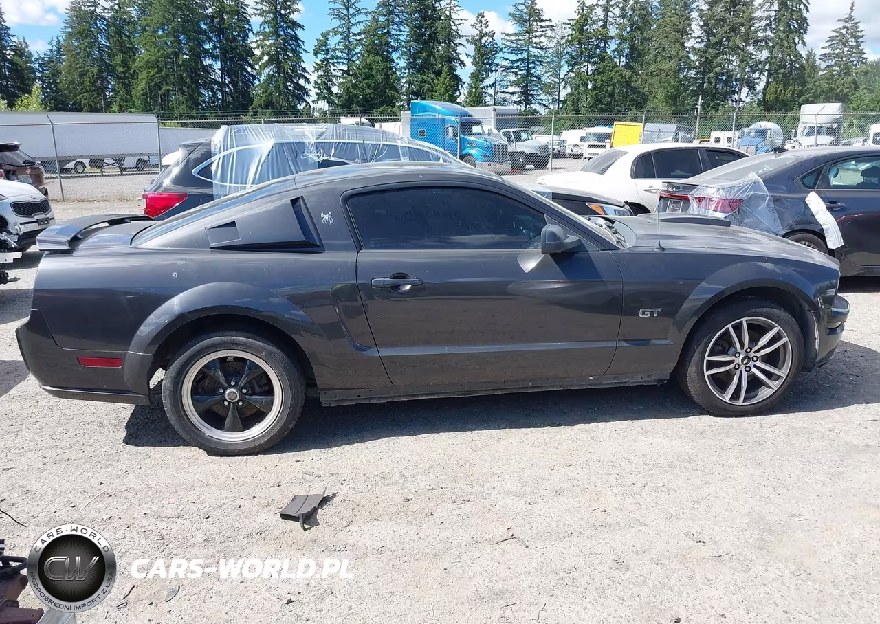 2007 Ford Mustang Gt Deluxe-Gt Premium VIN:1ZVHT82H775238174 - 13