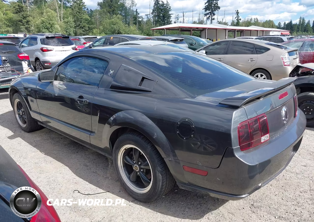 2007 Ford Mustang Gt Deluxe-Gt Premium VIN:1ZVHT82H775238174 - 14