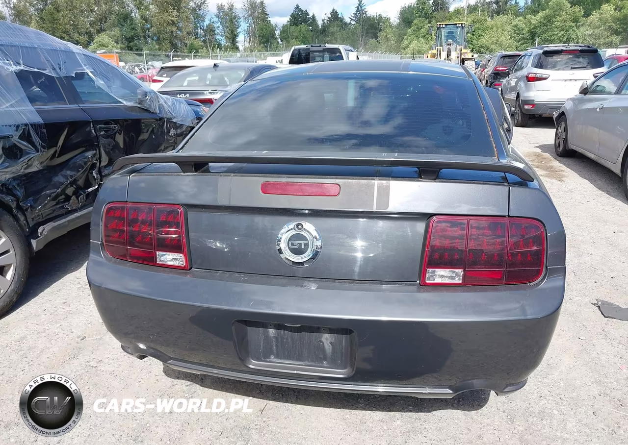 2007 Ford Mustang Gt Deluxe-Gt Premium VIN:1ZVHT82H775238174 - 16