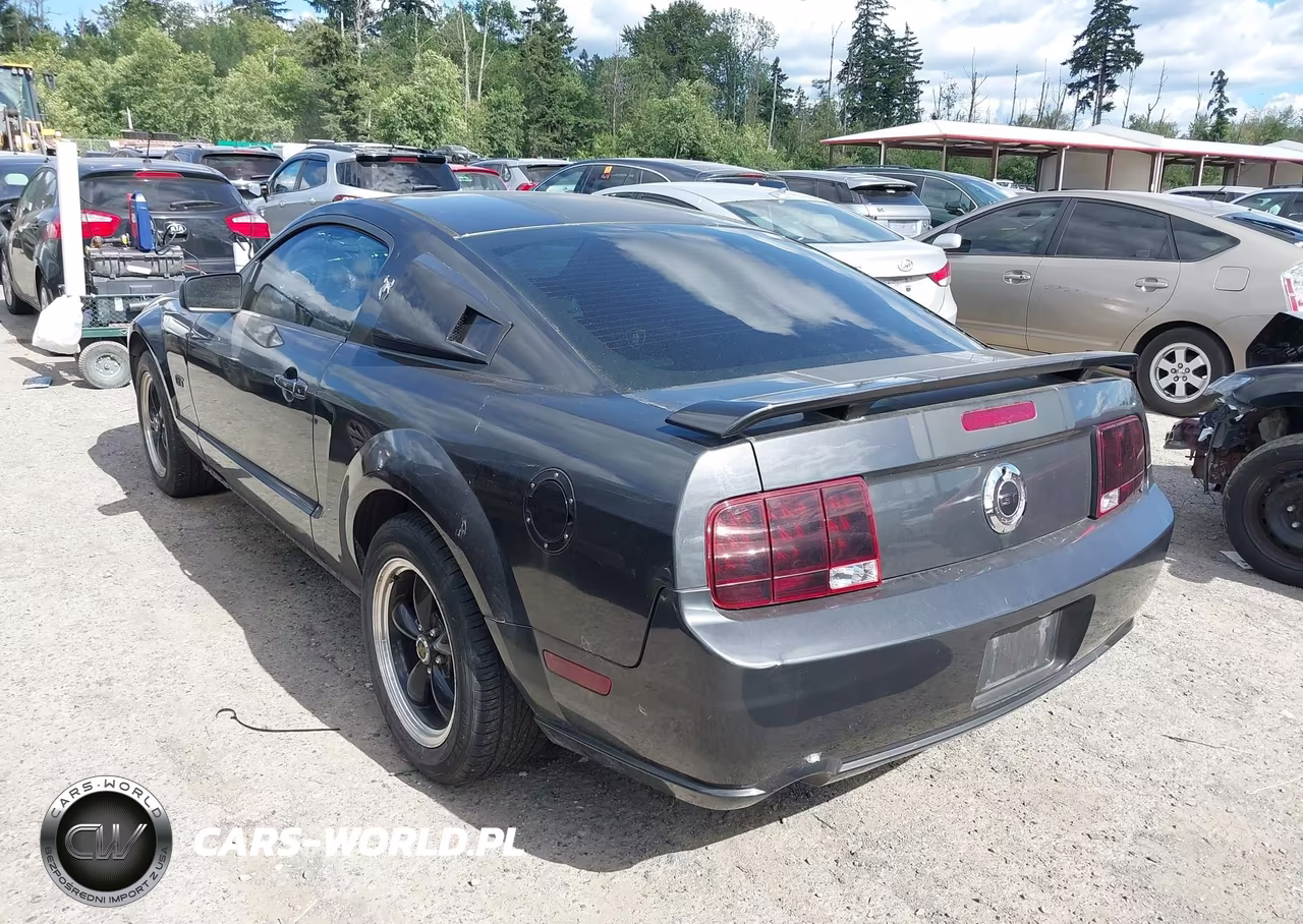 2007 Ford Mustang Gt Deluxe-Gt Premium VIN:1ZVHT82H775238174 - 3