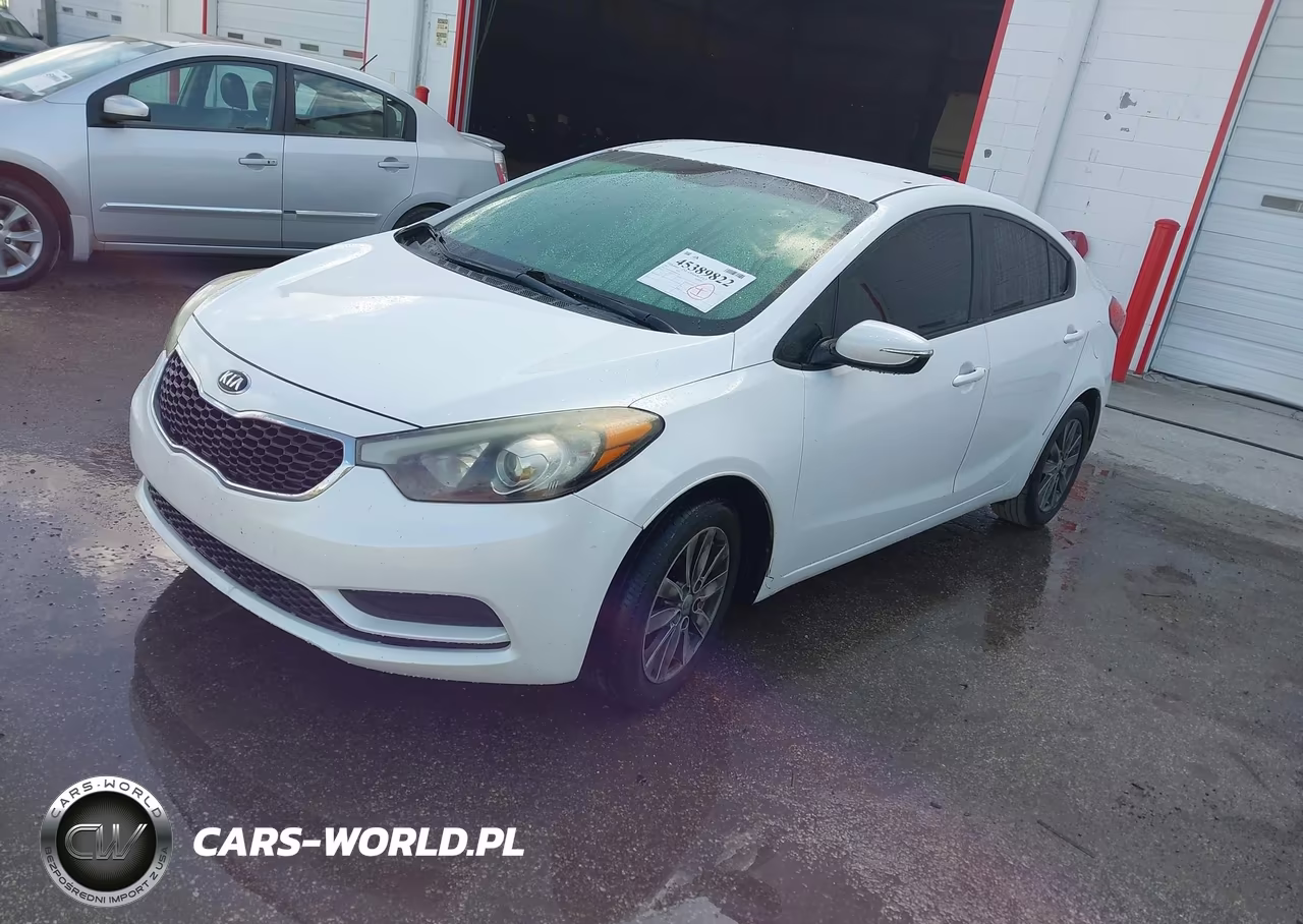 2014 Kia Forte Lx VIN:KNAFX4A68E5063709 - 2