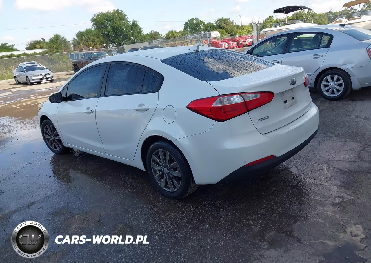 2014 Kia Forte Lx VIN:KNAFX4A68E5063709 - 3