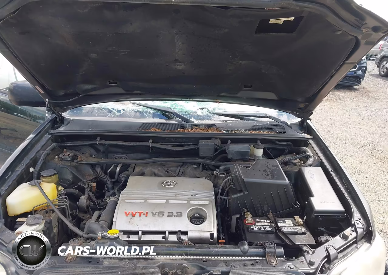 2004 Toyota Highlander V6 VIN:JTEEP21AX40042763 - 10